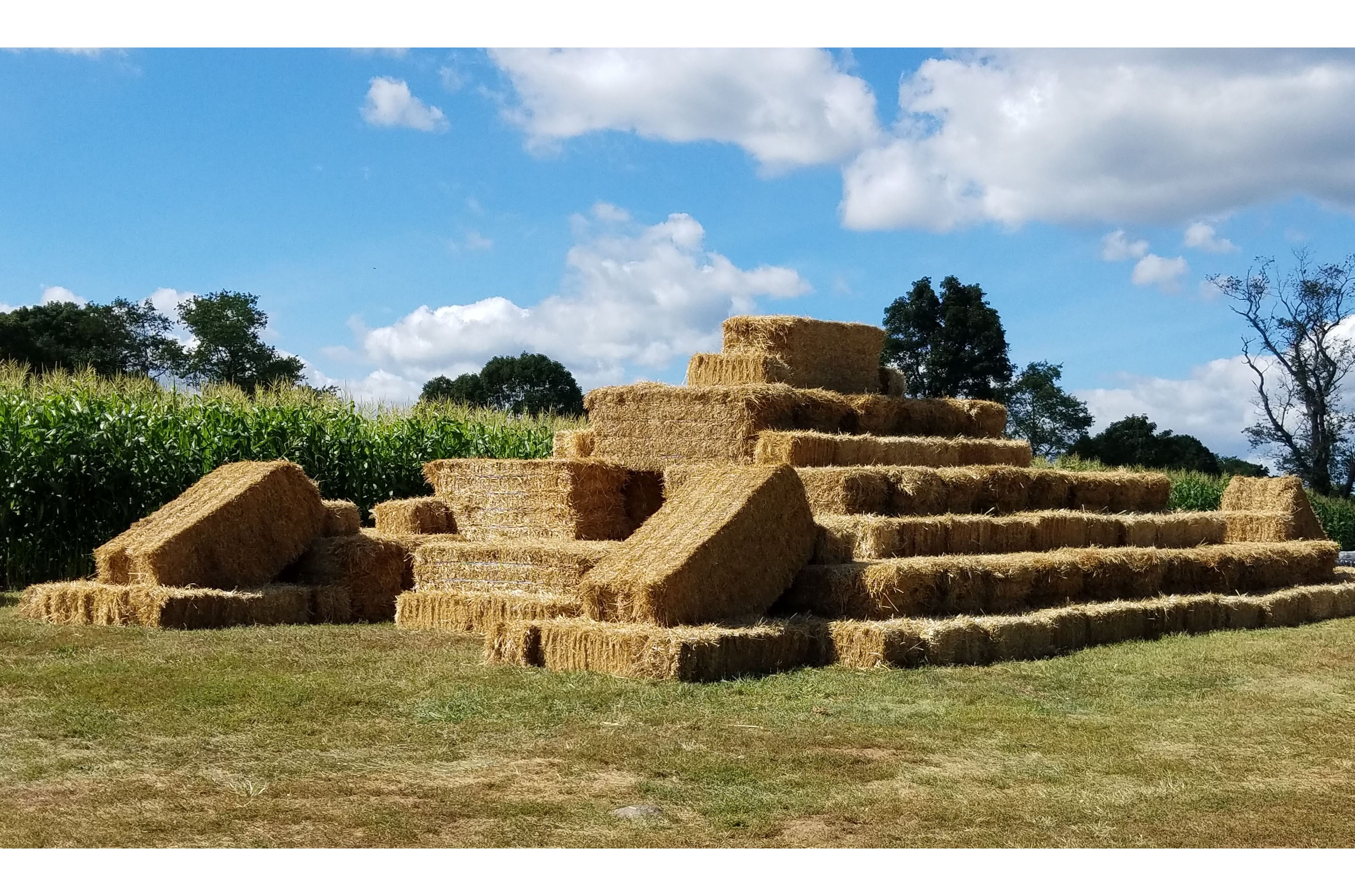 Straw Hay Maze